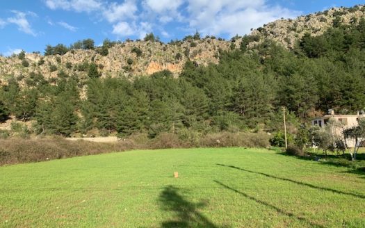 The land of your dreams for sale in Turgut Marmaris