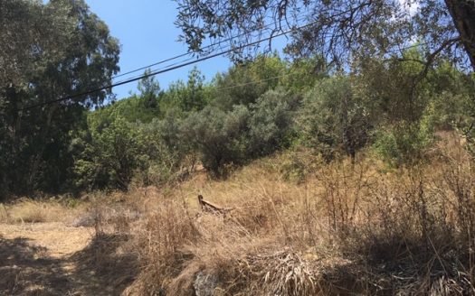 Nature View Land for sale in Gokova