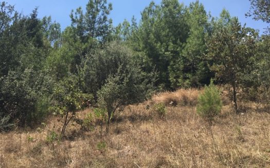 Nature View Land for sale in Gokova