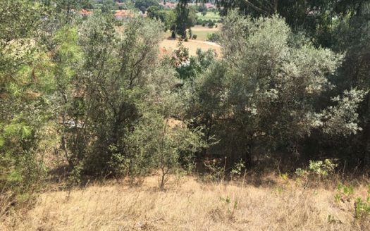 Nature View Land for sale in Gokova