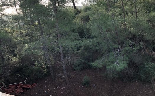 Being alone with Nature in the centre of the city Marmaris