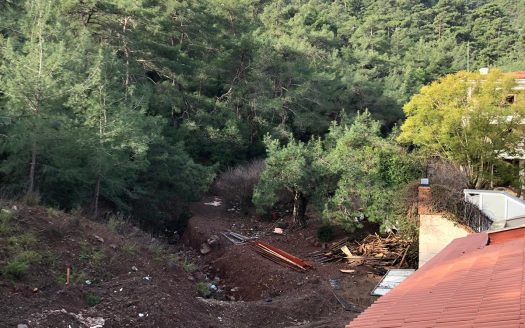 Being alone with Nature in the centre of the city Marmaris