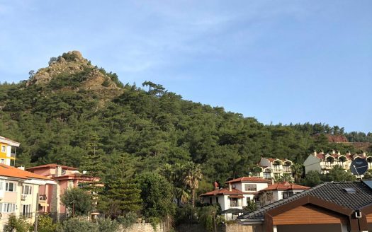 Being alone with Nature in the centre of the city Marmaris