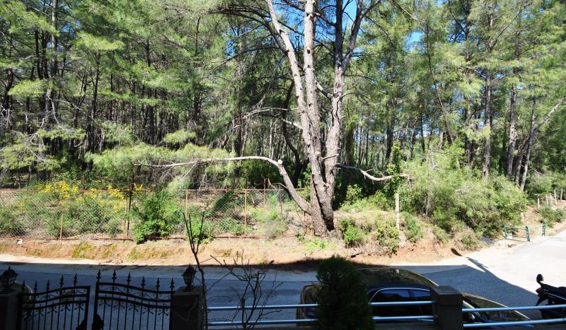 Pine-forest-view-apartment-in-a-tranquil-region-for-sale-in-Siteler-Marmaris
