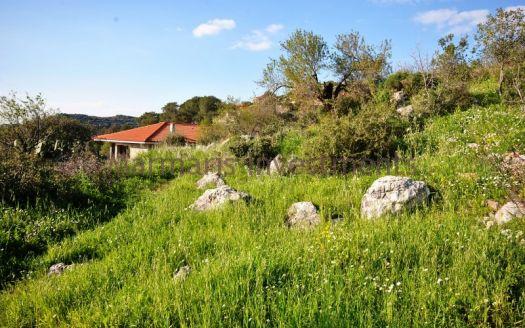 Land Investment Opportunity in Sogut, village of Marmaris