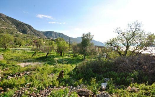 The land for sale with almond trees in Sogut, Marmaris