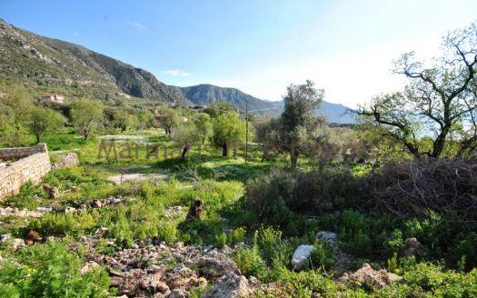 The land for sale with almond trees in Sogut, Marmaris