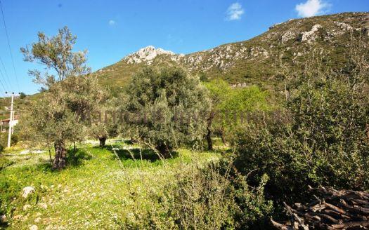 Amazing Sea view Land For Sale in Sogut, Marmaris