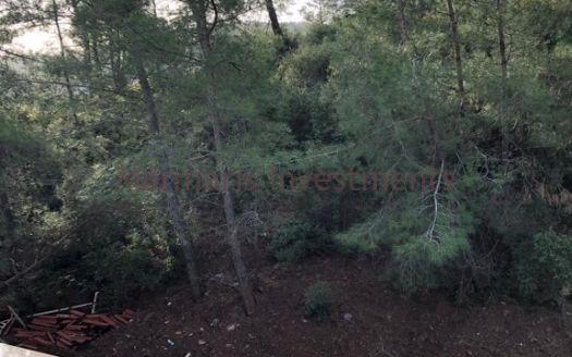 The nature views 2 bedroom apartment offering a tranquil life in Armutalan